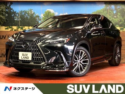 LEXUS NX - 1