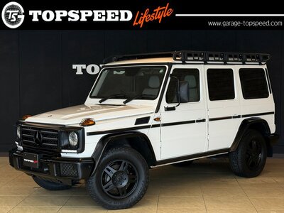 MERCEDES-BENZ G-CLASS - 1