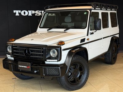MERCEDES-BENZ G-CLASS - 10