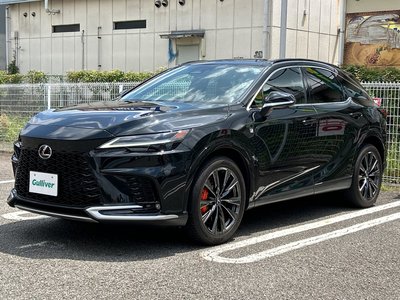 2024 Lexus RX 缩略图 41