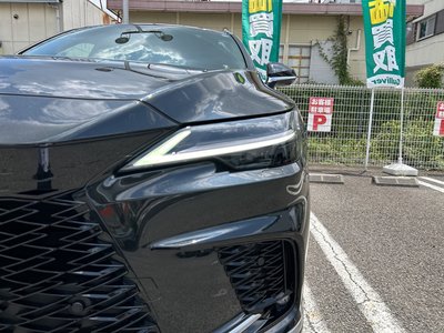 2024 Lexus RX 缩略图 30