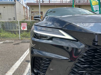 2024 Lexus RX 缩略图 29