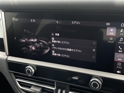 2022 Porsche MACAN 缩略图 11