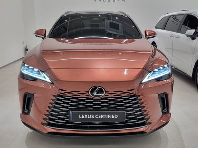 LEXUS RX - 2