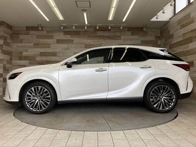 صورة مصغرة 16 لـ 2023 Lexus RX