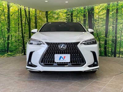 صورة مصغرة 14 لـ 2023 Lexus NX
