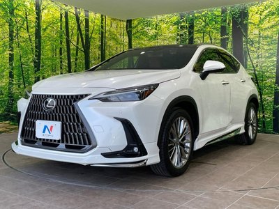 صورة مصغرة 30 لـ 2023 Lexus NX