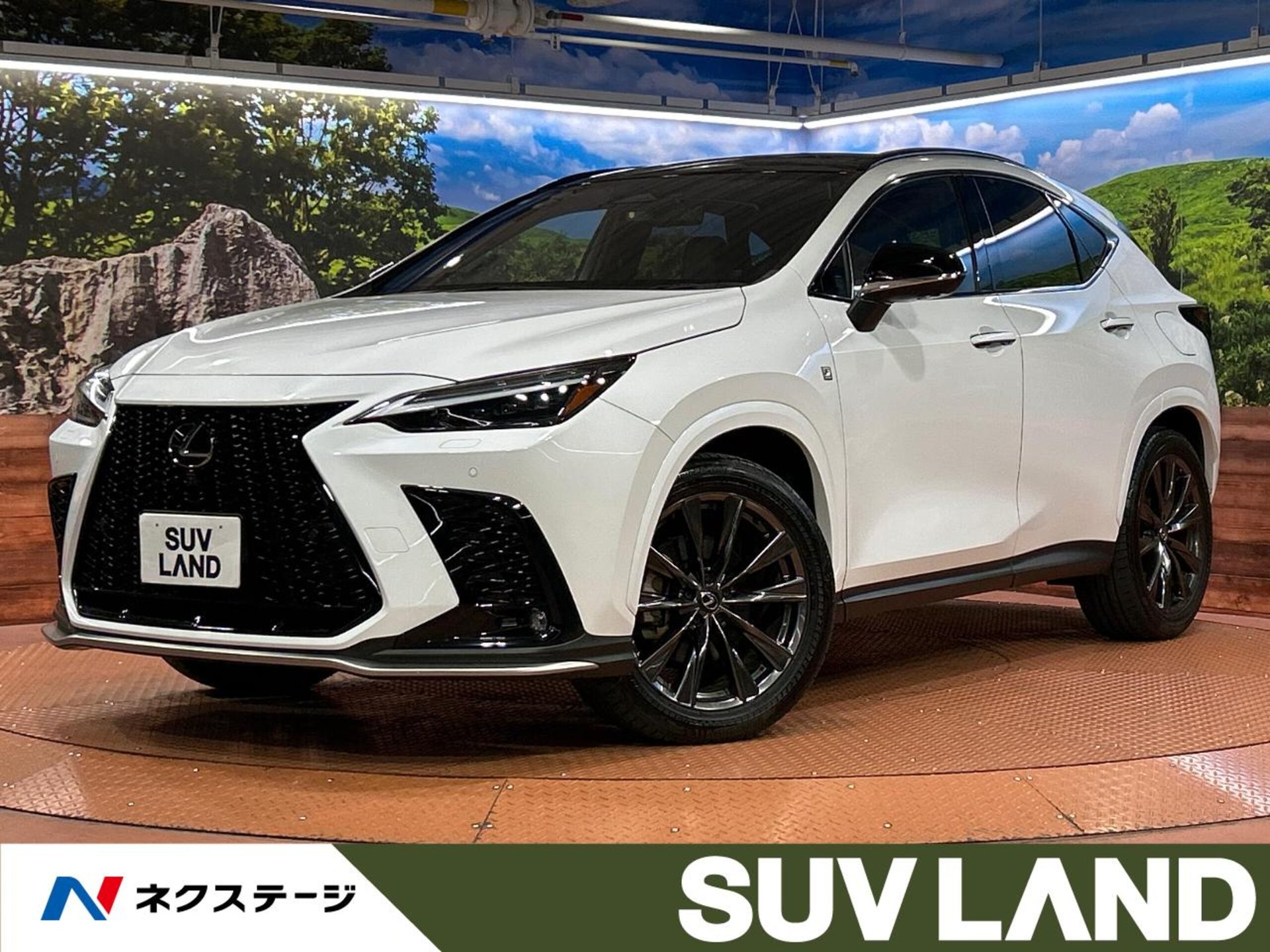 LEXUS NX - View 1