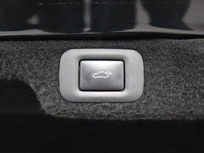 2020 Lexus LS 缩略图 33