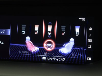 2020 Lexus LS 缩略图 17