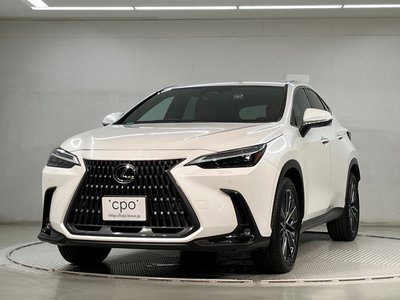 LEXUS NX - 1