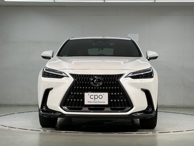 LEXUS NX - 2