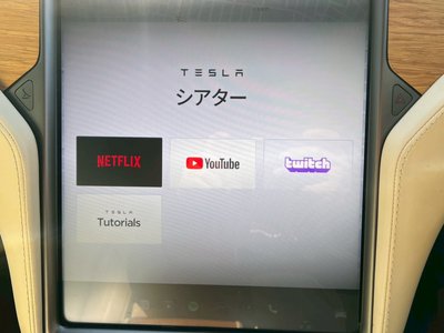 2020 Tesla MODEL X 缩略图 67