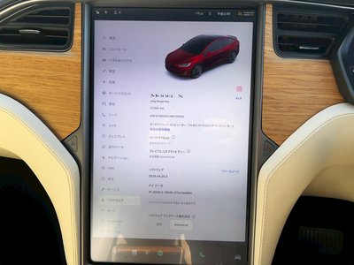 2020 Tesla MODEL X 缩略图 55