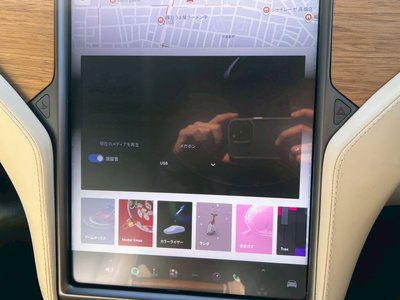 2020 Tesla MODEL X 缩略图 60