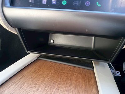 2020 Tesla MODEL X 缩略图 47