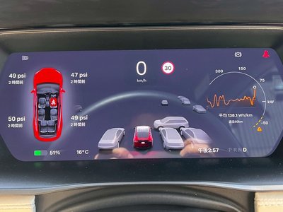 2020 Tesla MODEL X 缩略图 28