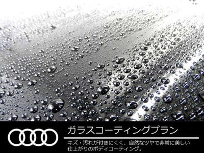 AUDI RS E-TRON GT - 2