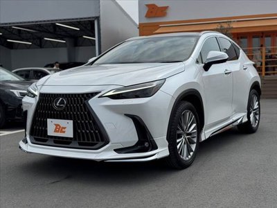 LEXUS NX - 10
