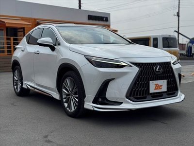 LEXUS NX - 8