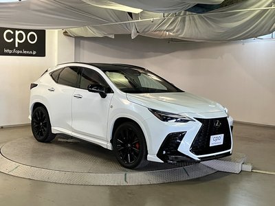 2023 Lexus NX — миниатюра 13