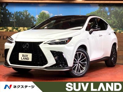 LEXUS NX - 1