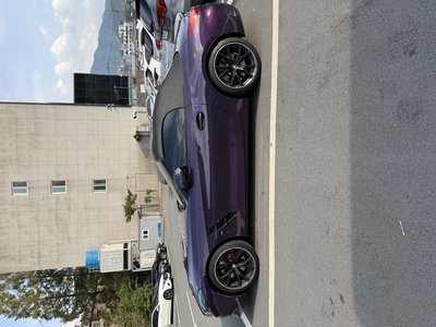 BMW Z4 - 2