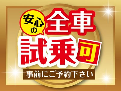 TOYOTA LAND CRUISER 80 - 7