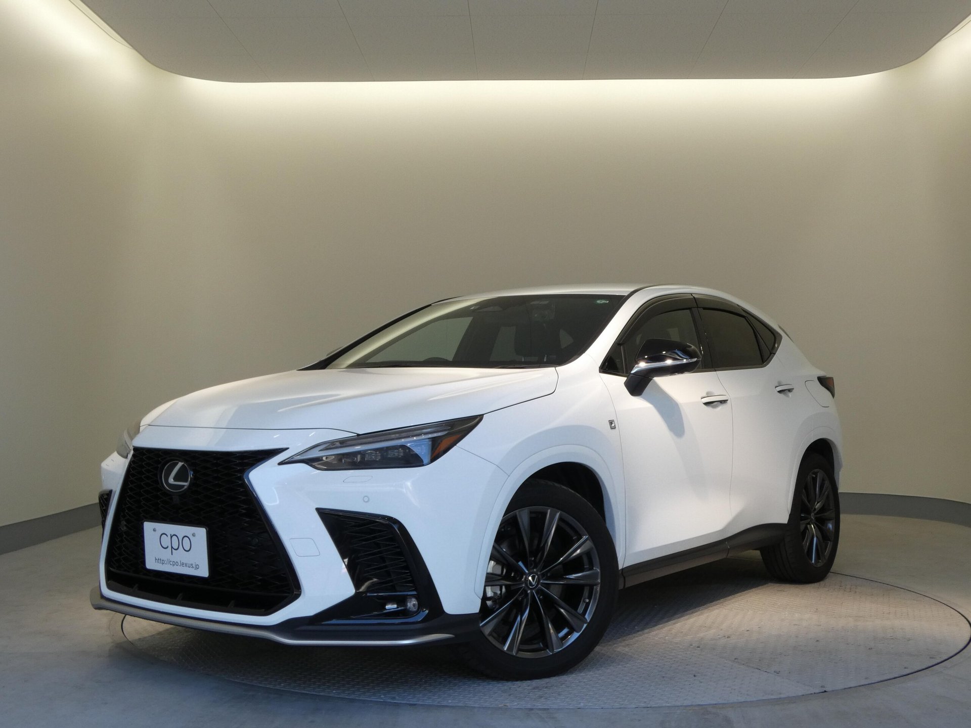 LEXUS NX - View 1