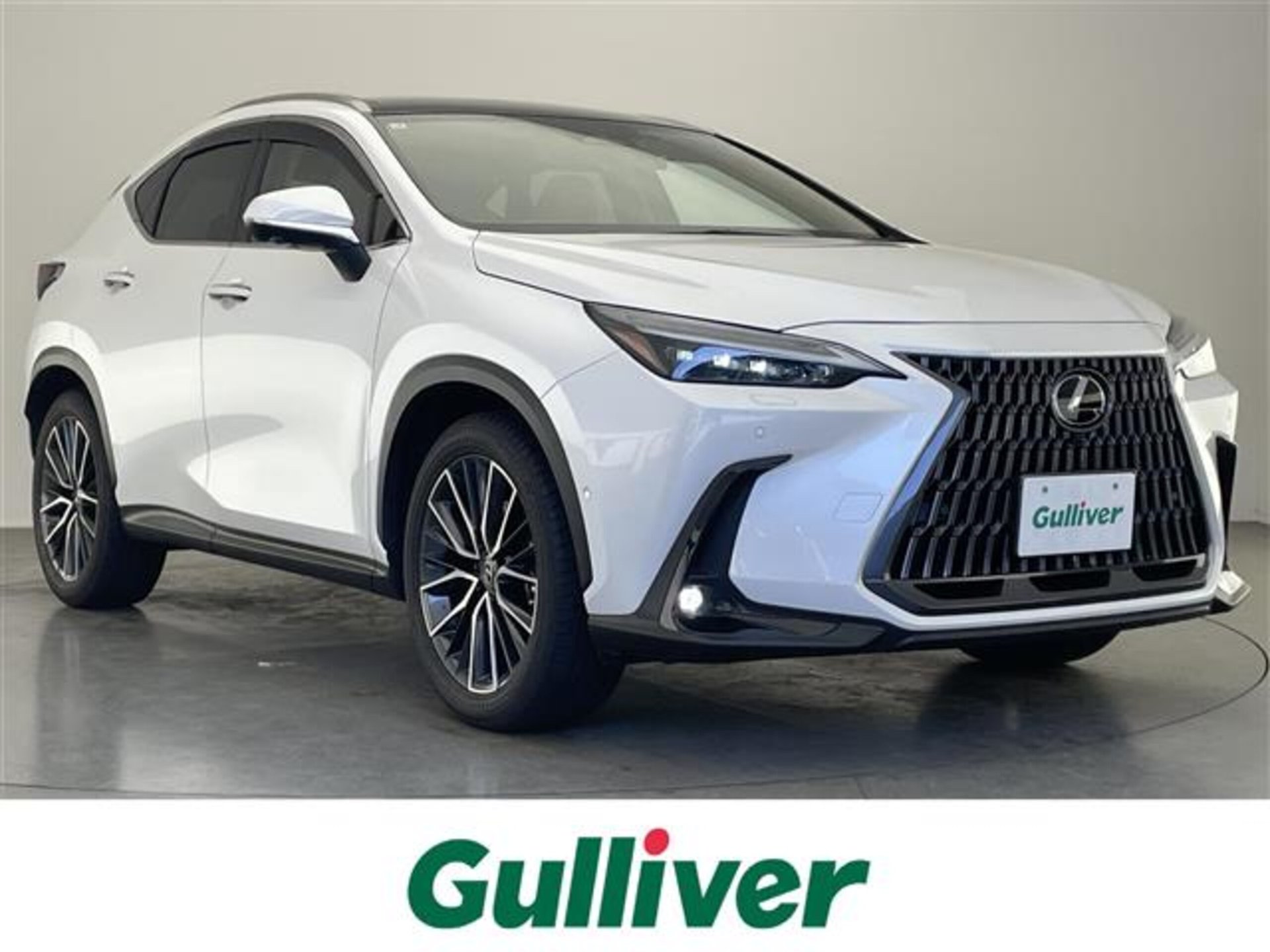LEXUS NX - View 1