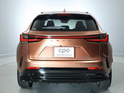 LEXUS NX - 3