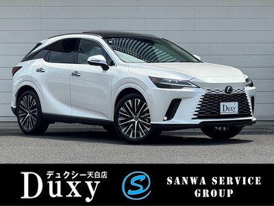 2025 Lexus RX photo 1
