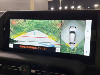 TOYOTA LAND CRUISER 250 - 5