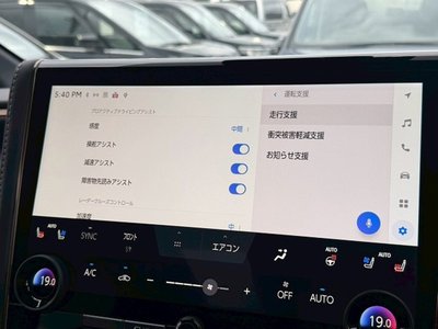 2025 Toyota ALPHARD — миниатюра 51