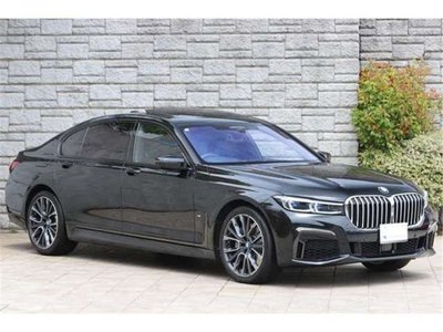 2019 BMW BMW 7 SERIES — миниатюра 13