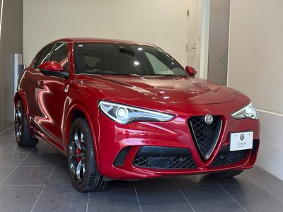 2019 ALFA Romeo STELVIO 照片 5