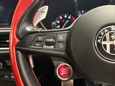 2019 ALFA Romeo STELVIO 照片 16