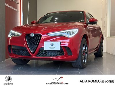 2019 ALFA Romeo STELVIO 照片 1
