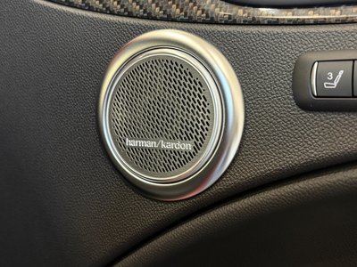 2019 ALFA Romeo STELVIO 照片 13