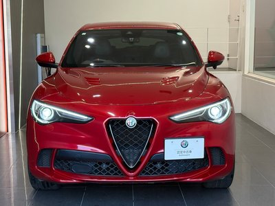 2019 ALFA Romeo STELVIO 照片 4