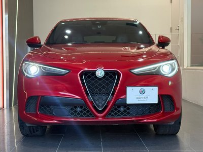 2019 ALFA Romeo STELVIO 照片 3