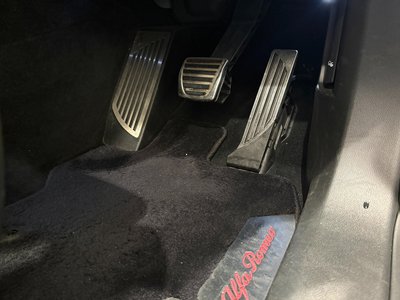 2019 ALFA Romeo STELVIO 照片 14