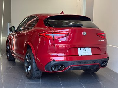 2019 ALFA Romeo STELVIO 照片 8