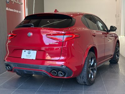 2019 ALFA Romeo STELVIO 照片 6