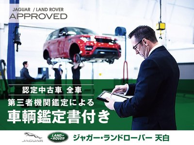 2024 LAND Rover DEFENDER — миниатюра 14