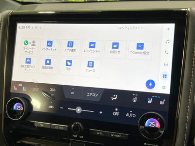 2024 Toyota ALPHARD — миниатюра 46