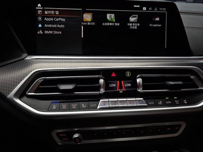 2021 BMW X6 — миниатюра 20
