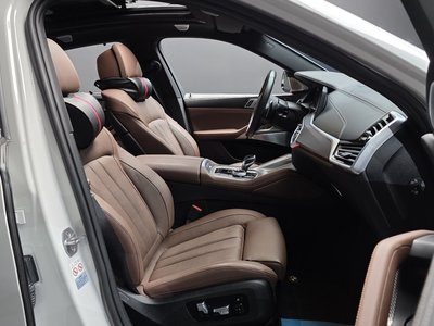 2021 BMW X6 — миниатюра 16