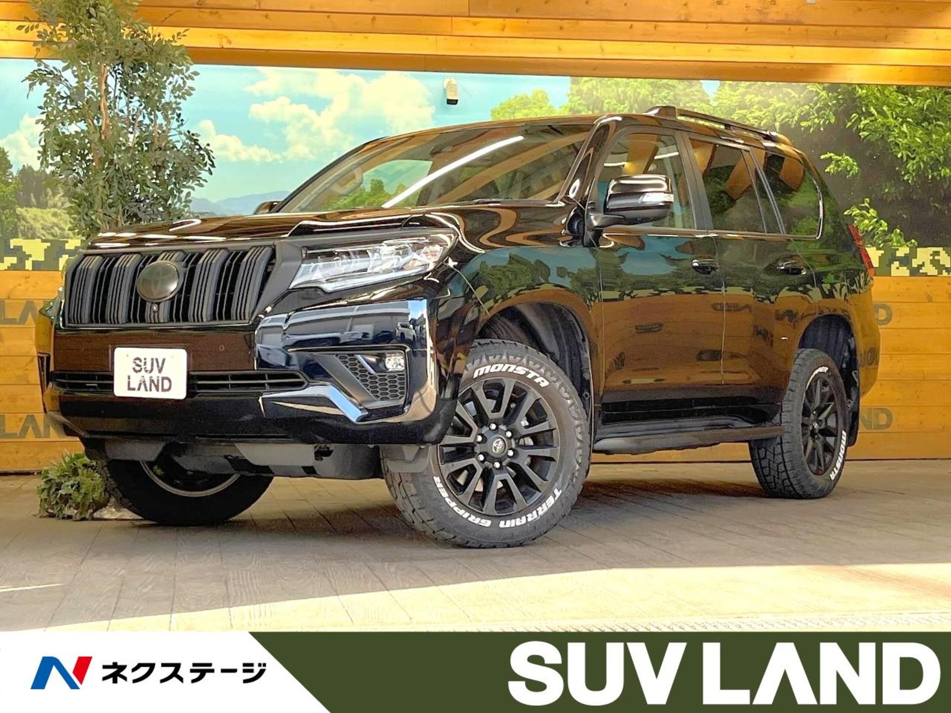 TOYOTA LAND CRUISER PRADO - View 1