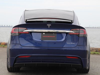 2020 Tesla MODEL X 照片 4